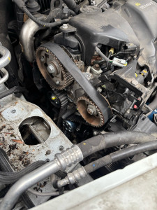 Photo de galerie - Distribution