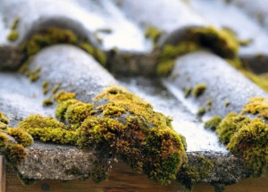 Photo de galerie - Couverture - Toiture