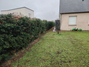 Photo de galerie - Rabattage de haie de plus de 2m de hauteur sur une longueur de 48m avec une taille sur les 2 côté 