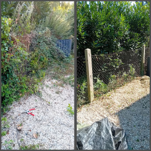 Photo de galerie - Avant-Après sur l'entretien d'un grillage à Louvier ! 