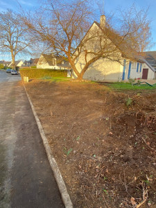 Photo de galerie - Arrachage de haie (mini-pelle)