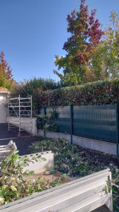 Photo de galerie - Taille de haies et d'arbustes