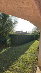 Photo de galerie - Taille sur 25m de long et 2,5m de hauteur 