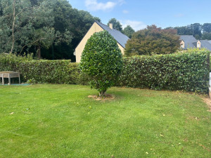 Photo de galerie - Taille de haies