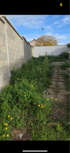 Photo de galerie - Tonte de pelouse 