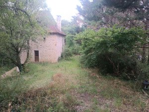 Photo de galerie - Remise au propre d'un ancien pigeonnier