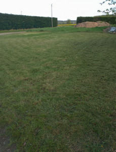 Photo de galerie - Grand terrain tondu avec une herbe assez haute 