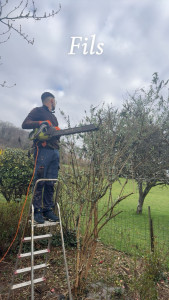 Photo de galerie - Taille de haies et d'arbustes