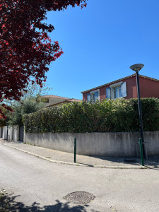 Photo de galerie - Taille de haies et d'arbustes