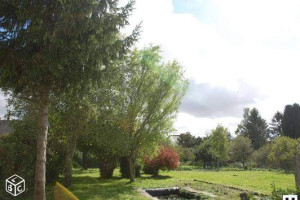 Photo de galerie - Tonte pelouse,taille de haies, nettoyage des branches ect ... .