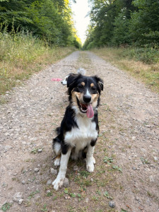 Photo de galerie - Petit Klyd :)