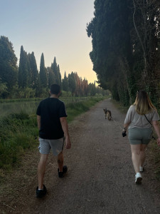 Photo de galerie - Promenade