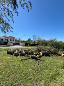 Photo de galerie - élagage 