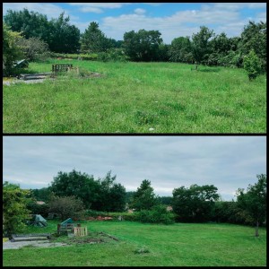 Photo réalisation - Paysagiste - Aménagement du jardin - Thomas R. - Niort (Champommier) : Avant / après
