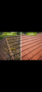 Photo de galerie - Traitement anti mousse après