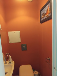 Photo de galerie - Réalisation total peinture wc 