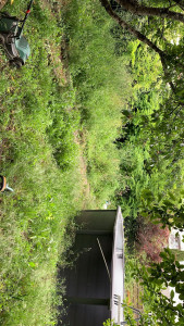 Photo de galerie - Entretien des espaces verts 