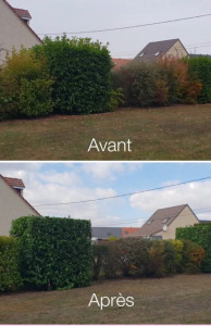 Photo de galerie - Jardinier