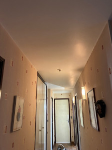 Photo de galerie - Tatissage des plafonds fissurés avec grille en fibre dé verre