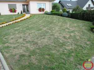 Photo de galerie - Préparation du terrain avant semis du gazon:
- enlèvement des roches, cailloux, mauvaises herbes
- scarification de la terre pour enlever également la mousse et aérer la terre