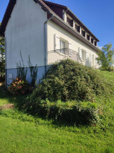 Photo de galerie - Taille de ronce
