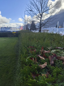 Photo de galerie - Avant 