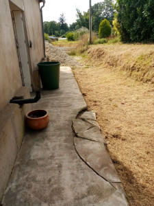 Photo de galerie - Tonte de pelouse - Débroussaillage