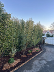 Photo de galerie - Paysagiste - Aménagement du jardin