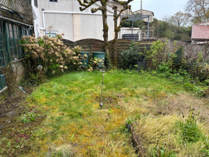 Photo de galerie - Tonte de pelouse - Débroussaillage