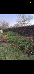 Photo de galerie - Rabotage d’une haie de 6 mètres de haut sur 150 mètres de long 3 face