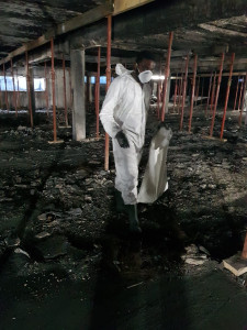 Photo de galerie - Préparation - nettoyage de salle