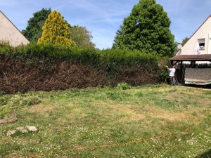 Photo de galerie - élagage 