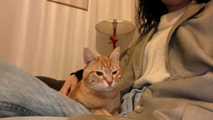 Photo de galerie - Petite Marie