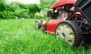 Photo de galerie - Tonte de pelouse