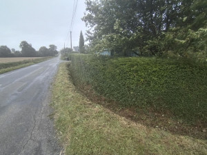 Photo de galerie - Taille de haie et nettoyage du fossé 
(Après)