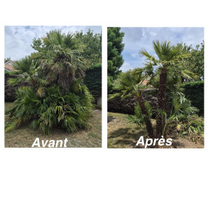 Photo de galerie - 2h de travail mais le résultat est au rendez-vous...