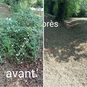Photo de galerie - Débroussaillage d'un faussé 