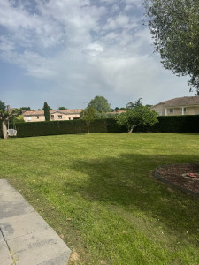 Photo de galerie - Tonte de pelouse - Débroussaillage