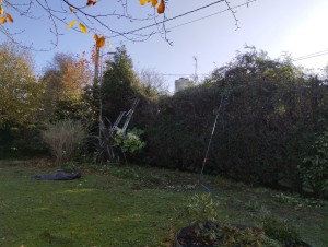 Photo de galerie - Elagage et coupe d'arbres