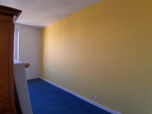 Photo de galerie - Peinture - Tapisserie