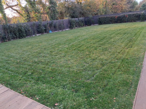 Photo de galerie - Tonte de pelouses 