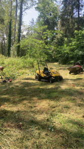Photo de galerie - Défrichage et tonte 