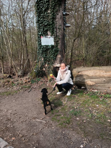 Photo de galerie - Garde a mon domicile de Sherlock, petit cavalier King Charles. Toujours ravi de venir chez moi pour une garde, balades au vert incluses :) .