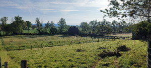 Photo de galerie - Réalisation d'un parc pour nos poney et moutons 
