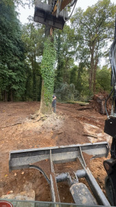 Photo de galerie - Abattage d’arbre pour un terrassement 