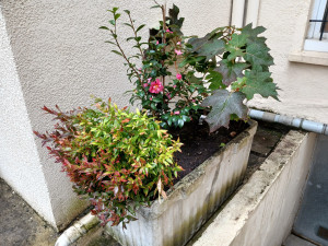 Photo de galerie - Paysagiste - Aménagement du jardin