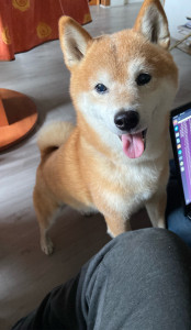 Photo de galerie - Avec Jowky 