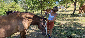 Photo de galerie - Brossage du cheval de la famille 
