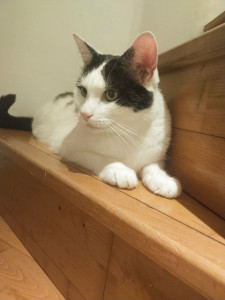 Photo de galerie - Garde de Néo 