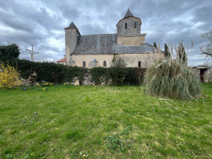 Photo de galerie - Lierre a retirer